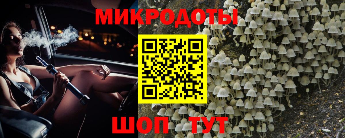 Галлюциногенные грибы GOLDEN TEACHER Новозыбков