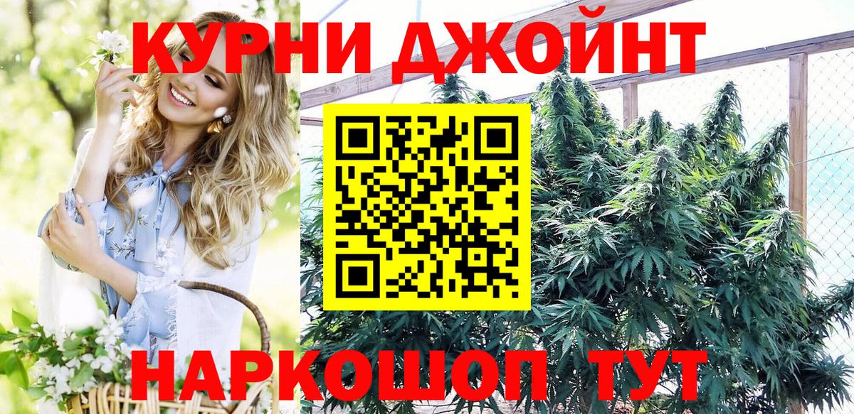 Каннабис MAZAR Новозыбков